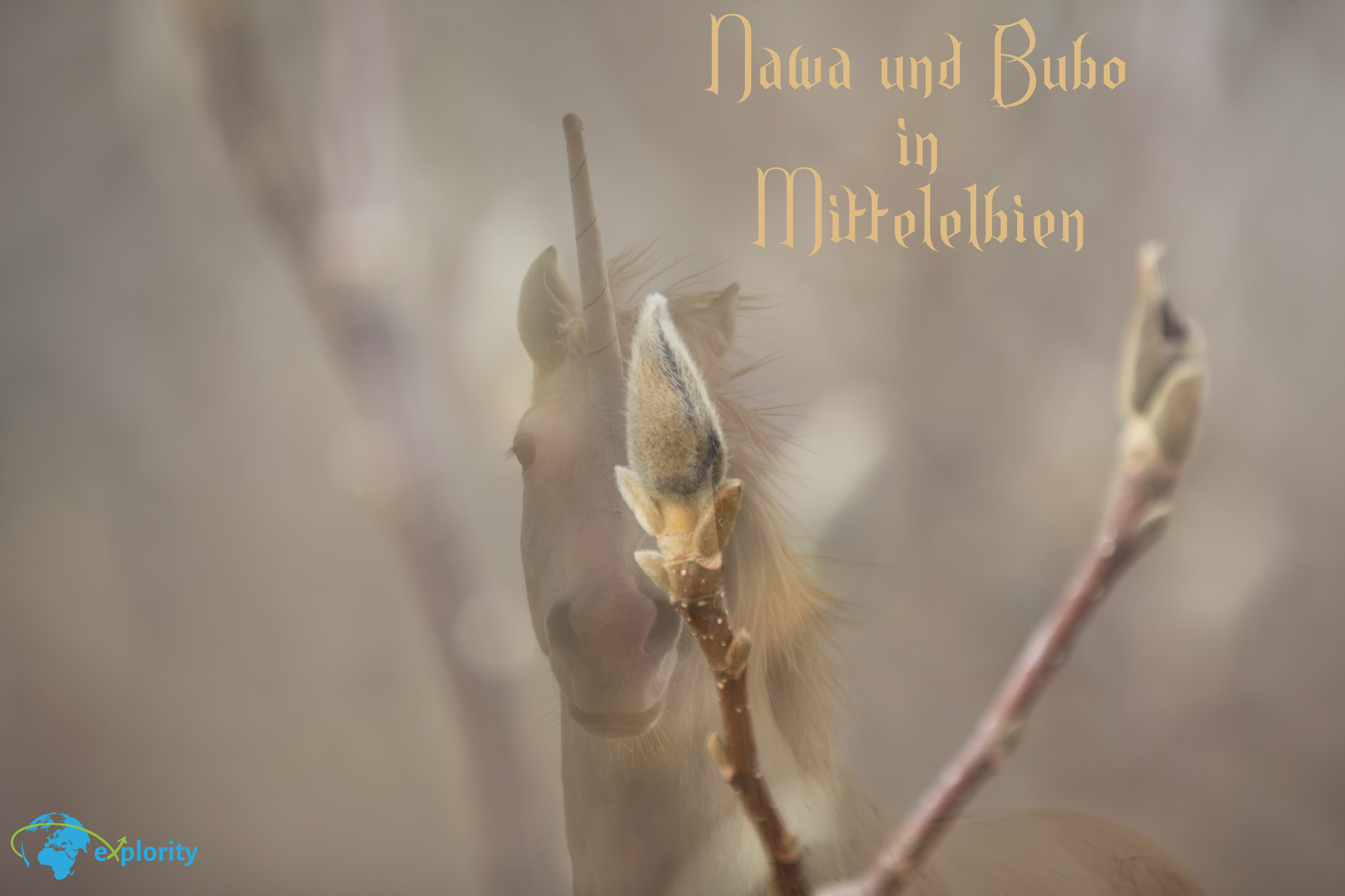 Nawa & Bubo Environmental Education with Fairytales
